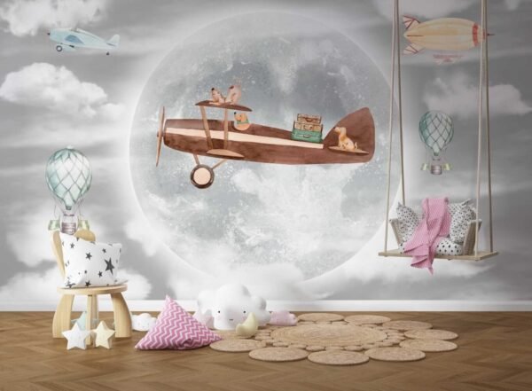 Airplane in a moonlight