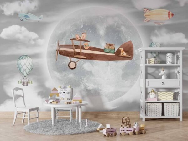 Airplane in a moonlight